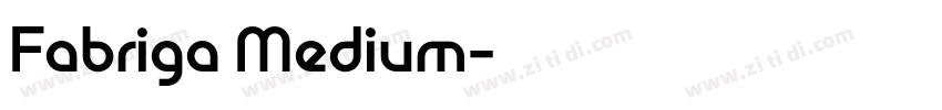 Fabriga Medium字体转换